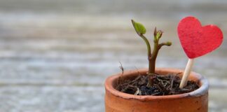 Jak rozciągnąć skórę naturalną?